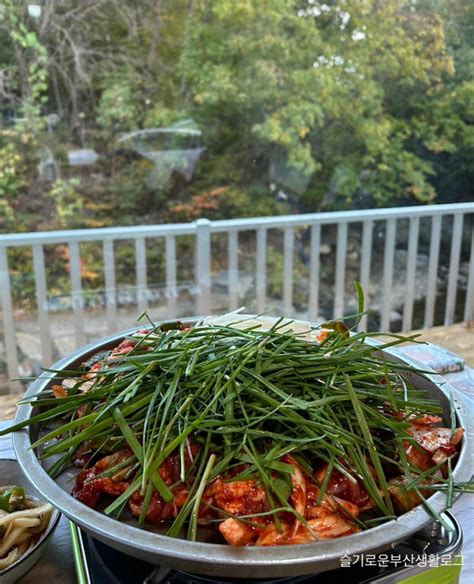 부산 기장맛집 장안사근처 부모님모시고가기좋은식당 방갈로 단독룸 오리고기맛집 만수장가든 내돈내산 솔직후기 네이버 블로그