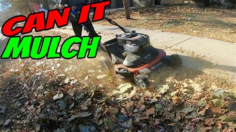 Can Toro Timemaster Mulch Leaves Youtube