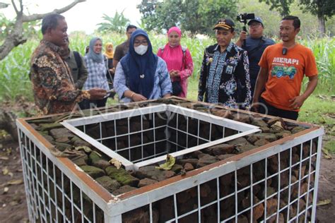 Ekskavasi Mandiri Diduga Situs Antara Foto