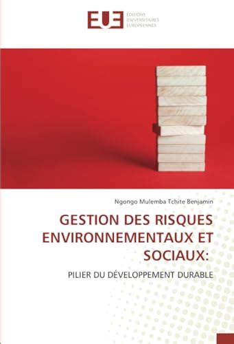 Gestion Des Risques Environnementaux Et Sociaux Pilier Du