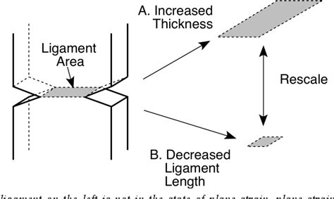 Figure From The Plane Strain Essential Work Of Fracture As A Measure