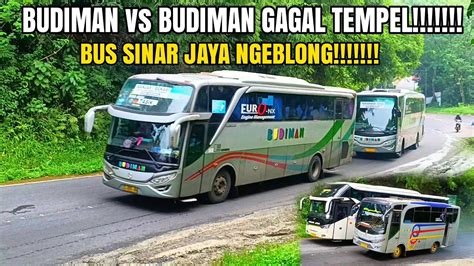 Bus Budiman Gagal Tempel Bus Sinar Jaya Ngeblong Di Tanjakan Youtube