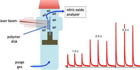 Nitric Oxide Uncaging From A Hydrophobic Chromium Iii Photonorm