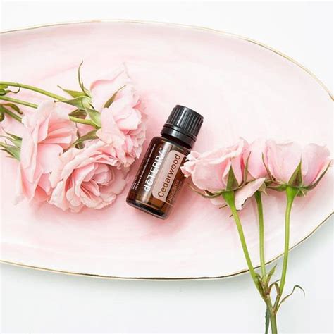 Aceite Esencial De Cedro Doterra Ml Aromapro Doterra Etherische Olie