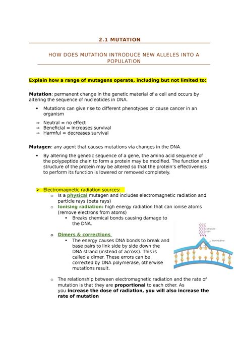 Genetic Change Notes 2 MUTATION HOW DOES MUTATION INTRODUCE NEW