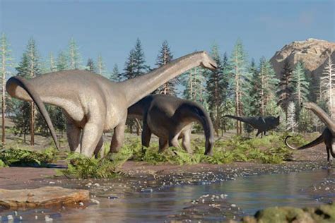 Nova espécie de dinossauro cortador de relva descoberta na Argentina