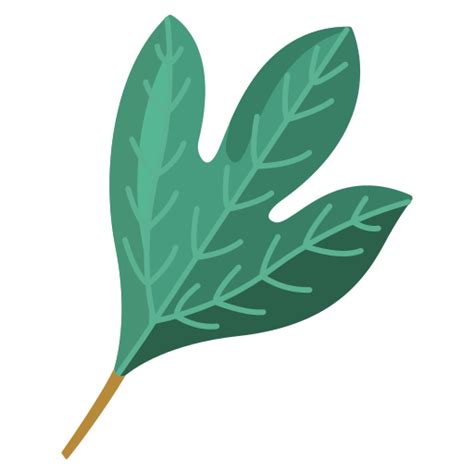 Sassafras Free Nature Icons