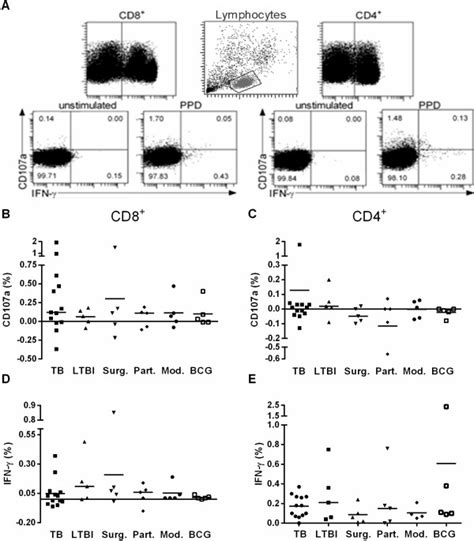 Flow Cytometric Analysis For Cd107a Degranulation Marker And Ifn γ Download Scientific Diagram