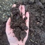 Leaf mould compost for sale - Waste Down - Good Natured Composting