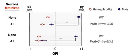 1 Neural Sex Governs Sex Difference In Olfactory Preference Download Scientific Diagram