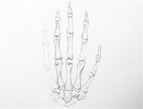 How Do You Draw A Skeleton Hand Easy Meaning Of Number