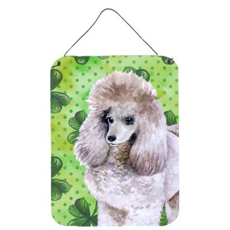 Carolines Treasures Bb9839ds1216 Poodle St Patrick S Wall Or Door Hanging Print 16hx12w Kroger