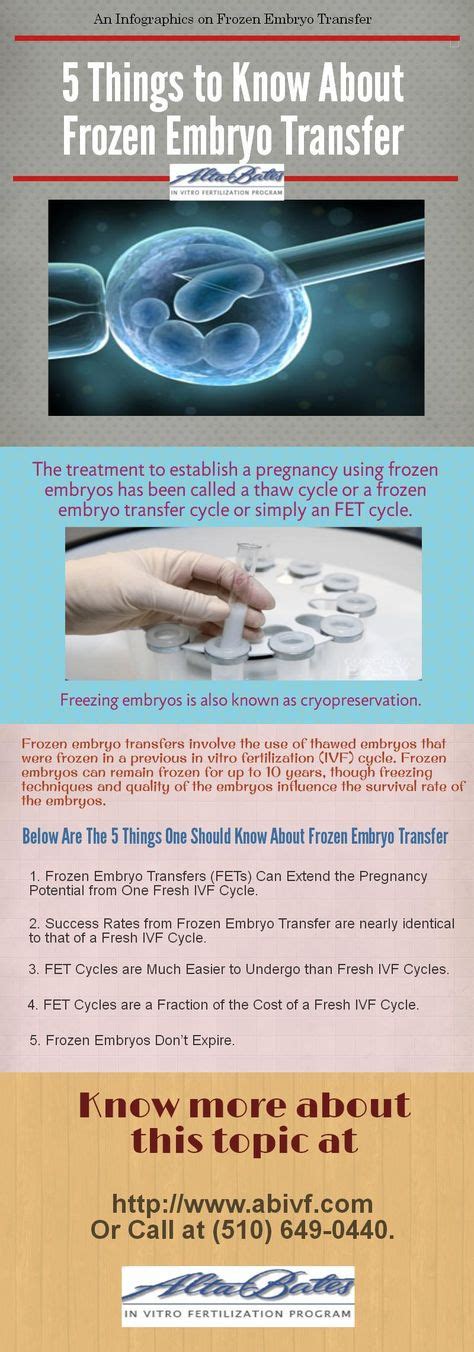 Frozen Embryo Transfer