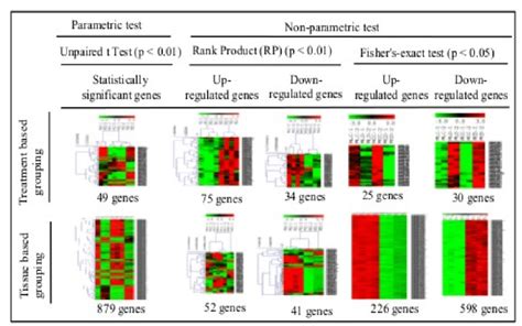 7 Heat Map Showing Up And Down Regulated Sorghum Orthologs Based On