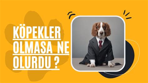 KÖPEKLER OLMASAYDI NE OLURDU YouTube