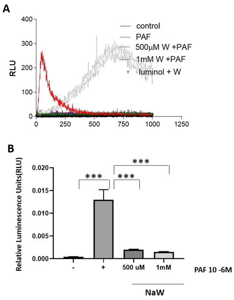 Effect Of Sodium Tungstate On Ros Production In Bovine Neutrophils Download Scientific Diagram