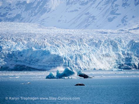 hubbard glacier | Stay Curious