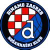 Estadísticas de Jani Brozovic Dinamo Zagreb Perfil del jugador