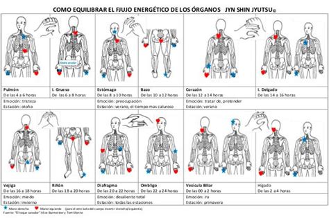 Jin Shin Jyutsu Tabla De Tratamientos Y Terapia Del Arte De La