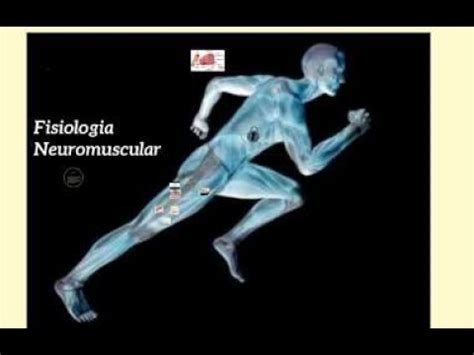 Fisiolog A Neuromuscular Tejidos Excitables Youtube