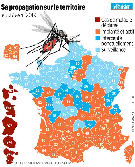 Le Moustique Tigre Tend Son Implantation En France Le Parisien