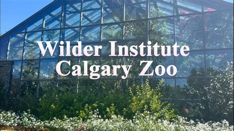 Best Calgary Zoo Hours, Tickets, Address 2024