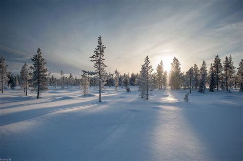 Eisige Kälte in Schwedisch Lappland knipslog de