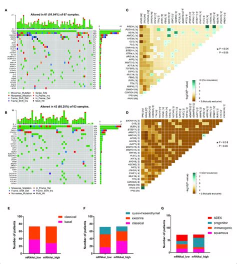 The Mutational Landscape And Molecular Subtypes Of Samples With High Download Scientific