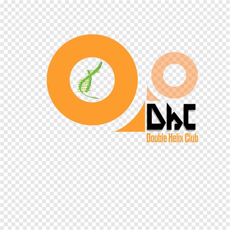 Logo Brand Font Design Text Orange Png PNGEgg