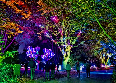 Wild Lanterns At Woodland Park Zoo Is A Mesmerizing Illuminated