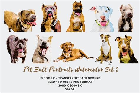 10 Pit Bull Portraits Watercolor Set 2 Graphic By Ty Wu · Creative Fabrica