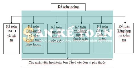 Chi Ti T V C C M H Nh T Ch C B M Y K To N Trong Doanh Nghi P