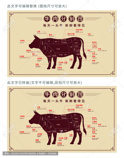 牛肉分割图设计模板下载 宣传展板模板素材下的宣传类展板设计模板 汇图网