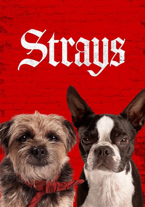 Strays 2024 Watch Online Coral Karola