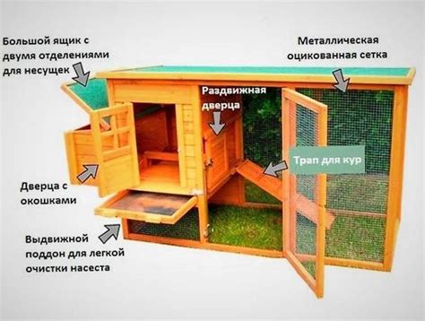 ЧЕРТЕЖИ и СХЕМЫ: курятник на 5 кур. Подборка 10 моделей