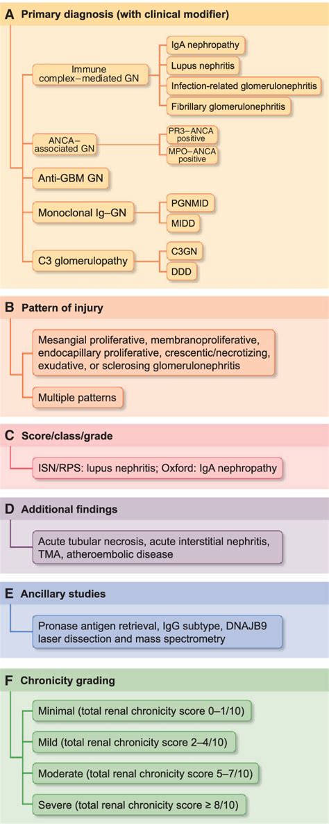 Figure From Standardized Classification And Reporting Of