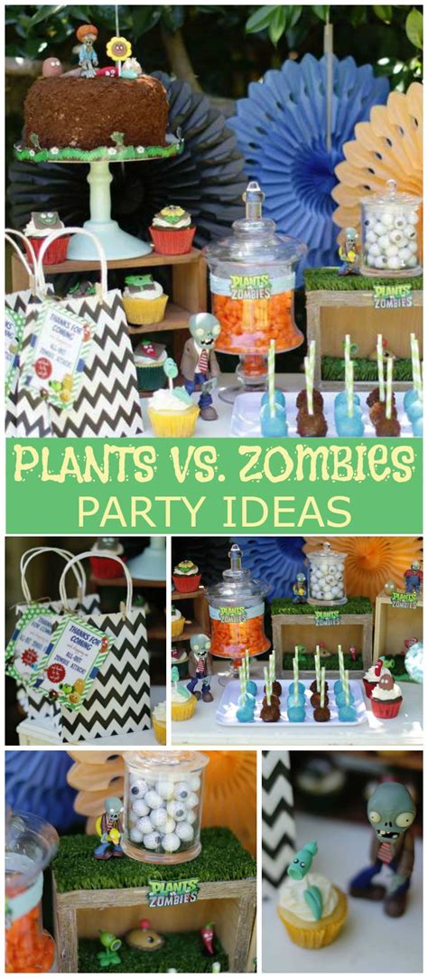 What A Cool Plants Vs Zombies Party With All The Fun Characters See