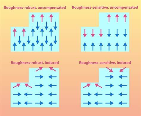 Physics Classifying The Surface Magnetization Of Antiferromagnets