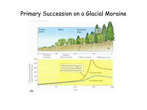 Ppt Components Of Biodiversity Noss 1990 Powerpoint Presentation