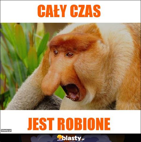 Cały czas memy gify i śmieszne obrazki facebook tapety demotywatory