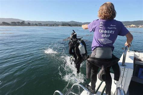 Hope For Kelp Restoration In California As Underwater Forest Returns