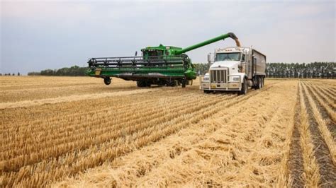 How Alberta Farmers Are Planning For The Future Amid Concerns Around Succession Plans Cbc News