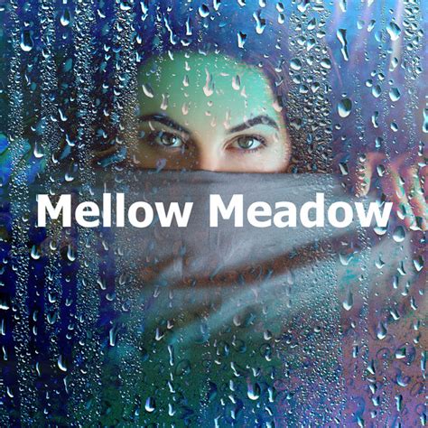 Mellow Meadow Album By Asmr Nature Rain Sleep Spotify