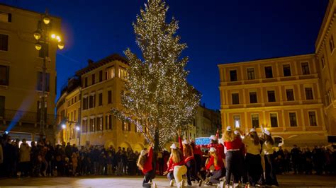 Grande Festa In Piazza Dei Signori Per L Accensione Dell Albero Di