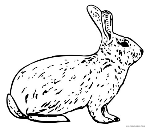 Bunny Coloring Pages Rabbit Snow Bunny  Printable Coloring4free