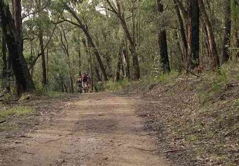 Tracks Trails And Coasts Near Melbourne Camelia Track Doongalla