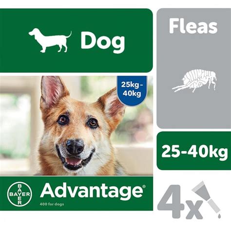 Advantage 400 Spot On Flea Control Extra Large Dog Uk