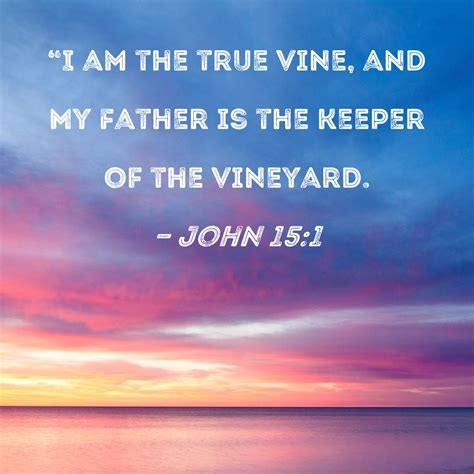 Interpretation Of John 15 1 11
