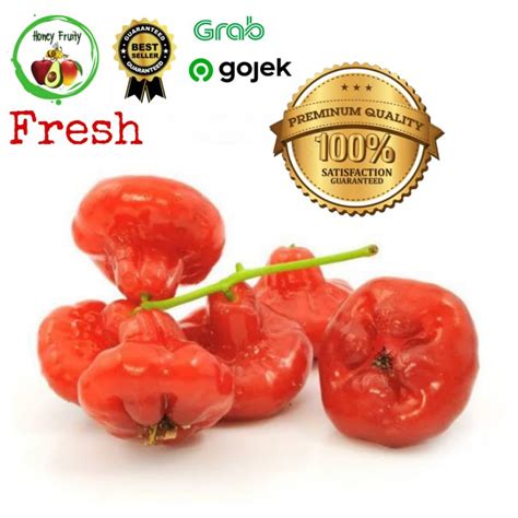 Jual Jambu Rujak Cincalo Merah Kg Shopee Indonesia