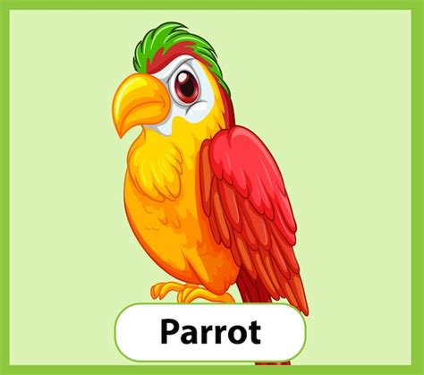 Tarjeta educativa de palabras en inglés de parrot Vector Gratis